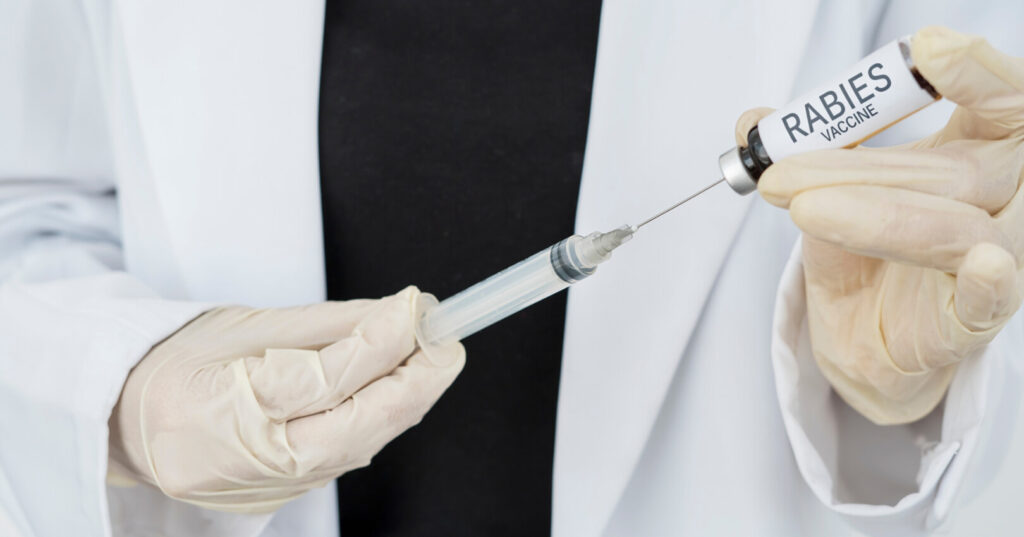 RABIES VACCINE SCHEDULE